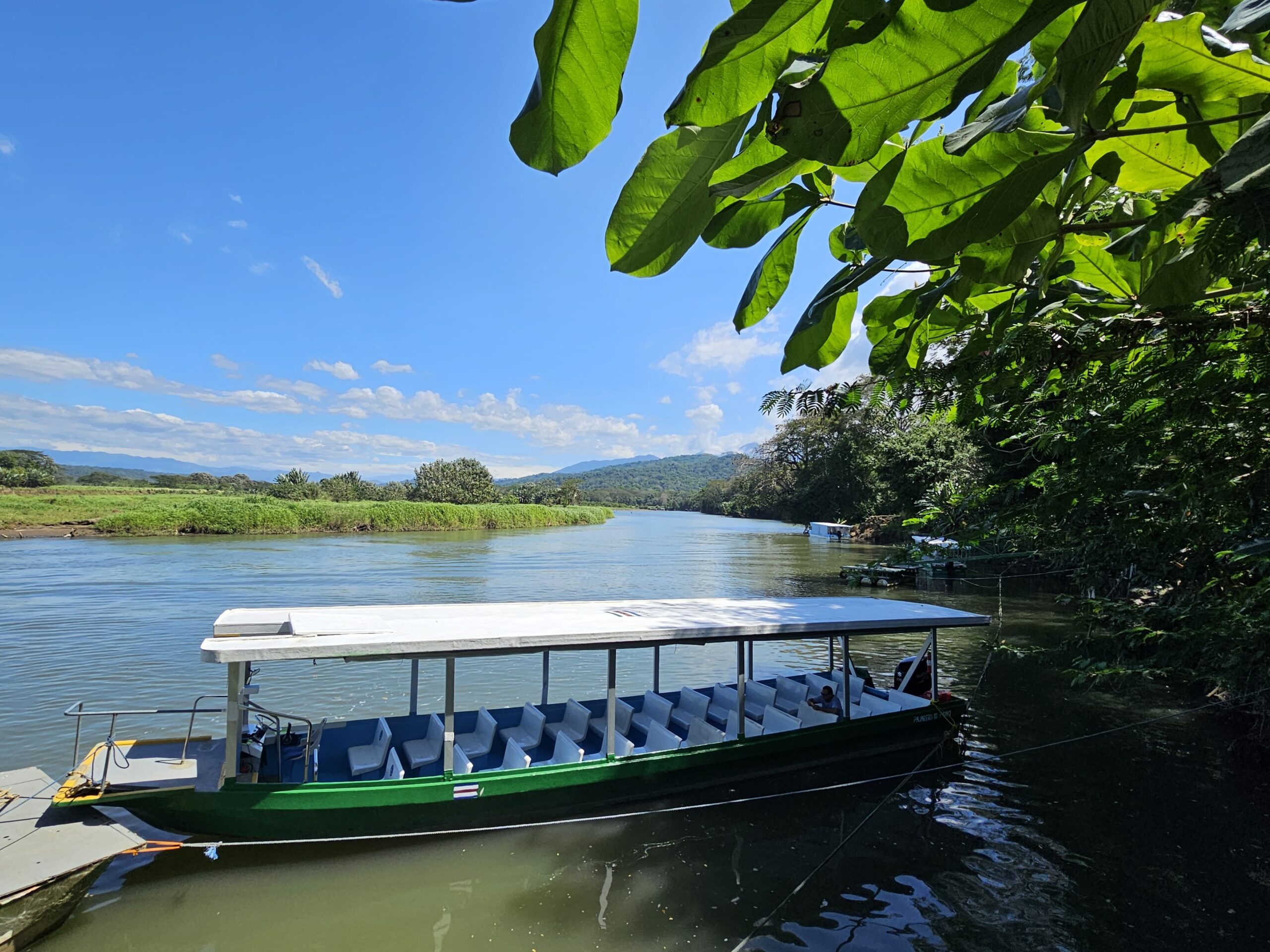 Photo from 15-Day Complete Costa Rica Birding Journey safari tour